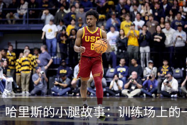 哈里斯的小腿故事：训练场上的一场小意外