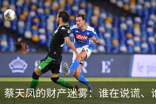 蔡天凤的财产迷雾：谁在说谎、谁在赚钱？